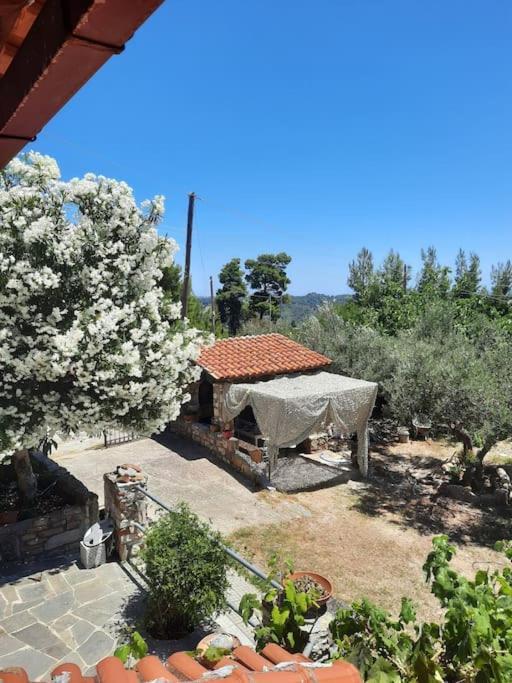 House With View Villa Aya Paraskevi Dış mekan fotoğraf