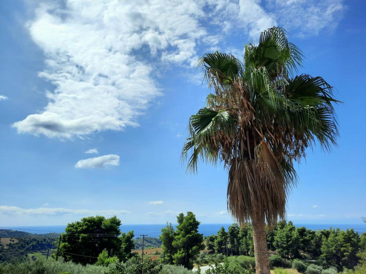 House With View Villa Aya Paraskevi Dış mekan fotoğraf